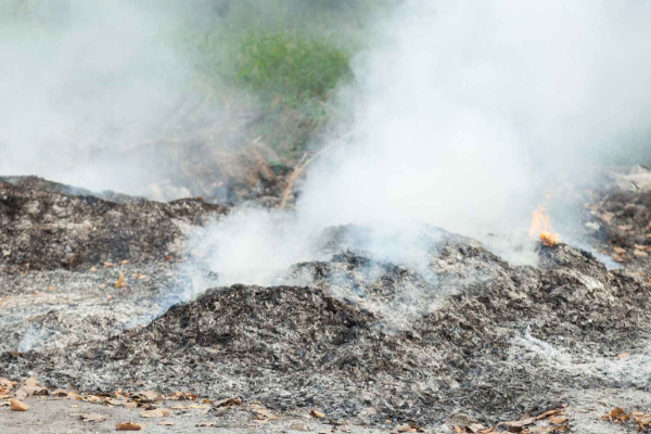 யாழில் காற்று மாசடைவு : யாழ் மாநகர சபைக்கு நீதிமன்றம் பிறப்பித்த உத்தரவு! | Jaffna Air Pollution Court Order Municipal Council