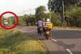 செட்டிகுளம் - மன்னார் வீதியில் நோயாளர் காவு வண்டியை வழிமறித்து யானைகள் அட்டகாசம்