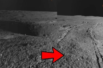 நிலவில் இருந்த பள்ளத்தை அறிந்து நகர்ந்து சென்ற ரோவர்! புகைப்படம் வெளியிட்ட இஸ்ரோ