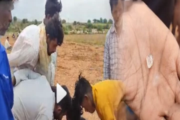விவசாய நிலத்தில் வைரம்; பெண் ஒருவருக்கு அடித்த அதிர்ஷ்டம் - மதிப்பு ரூ.12 லட்சம்!