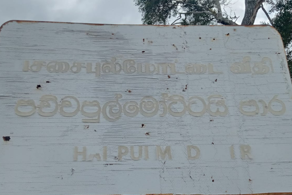 பச்சைப்புல்மோட்டை மாவீரர் துயிலும் இல்லத்தில் மறக்கப்பட்ட மாவீரர் நாள் நிகழ்வுகள் (படங்கள்) | Forgotten Ltte Leaders Pachipulmottai