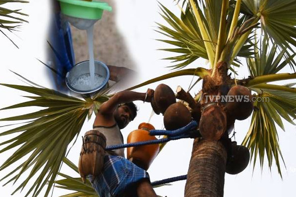 இலங்கையில் இருந்து கனடாவுக்கு ஏற்றுமதி செய்யப்படும் பானம்! | Beverage Exported From Sri Lanka To Canada