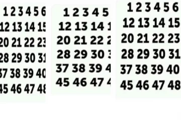 optical illusion: படத்தில் விடுபட்ட இலக்கத்தை மூன்று நொடிக்குள் முடிந்தால் கண்டுபிடியுங்கள்...
