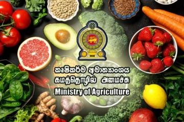 காய்கறிகள் மற்றும் பழங்களின் அறுவடை தொடர்பில் விவசாய அமைச்சின் அறிவிப்பு