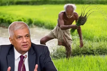 தமிழர் பகுதியில் பறிபோயுள்ள விவசாய நிலங்கள்: எதிர்க்கட்சித் தலைவர் சாடல்