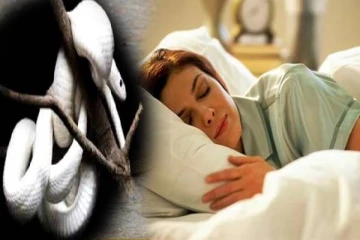 பாம்பை அடிக்கடி இப்படி கனவில் காண்கின்றீர்களா? அப்போ செல்வம் குவியப்போவது உறுதி