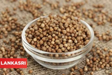 தனியாவில் இத்தனை மருத்துவகுணங்களா? இதய நோய்களுக்கு எல்லாம் தீர்வு தருமாம்!