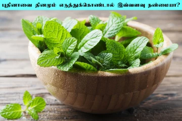 புதினாவை தினமும் எடுத்துக்கோங்க... நாள் முழுவதும் புத்துணர்ச்சியுடன் இருப்பீங்க