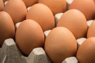 බිත්තර ගැන අලුත් ආරංචියක්.