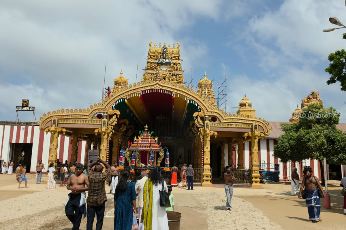 பாரம்பரிய மரபுடன் நல்லூர் கந்தசுவாமி ஆலயத்தை வந்தடைந்த புனிதக் கொடிச்சீலை | Sacred Flagpole Nallur Kandaswamy பாரம்பரிய மரபுடன் நல்லூர் கந்தசுவாமி ஆலயத்தை வந்தடைந்த புனிதக் கொடிச்சீலை | Sacred Flagpole Nallur Kandaswamy