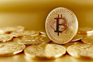 2024 இல் பின் பாரிய வீழ்ச்சியடைந்த பிட்காயின்!