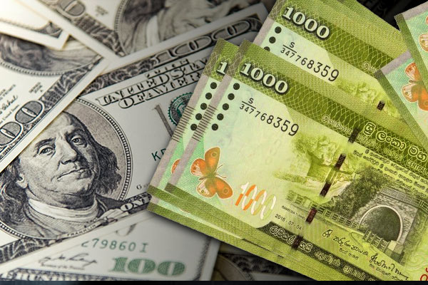 வெளிநாட்டு நாணயங்களுக்கு எதிராக ரூபாவின் மதிப்பு அதிகரிப்பு | Us Dollar Today Exchange Rates
