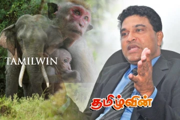 விலங்குகளை சுடுவதற்கான சட்ட ஏற்பாடுகள் தேவை: ஐக்கிய மக்கள் சக்தியின் கோரிக்கை