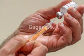 ගෙදරදීම කරන්න පුළුවන් ඉක්මනටම සීනි අඩු කරන බෙහෙත්..