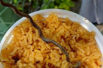 கோயில் பிரசாதத்தில் கிடந்த பாம்பு - அதிர்ச்சியில் பக்தர்கள்