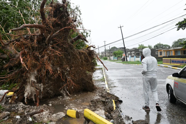 மெலிஸா புயலால் ஜமைக்காவில் கடும் சேதம் | Hurricane Melissa Causes Severe Damage In Jamaica மெலிஸா புயலால் ஜமைக்காவில் கடும் சேதம் | Hurricane Melissa Causes Severe Damage In Jamaica