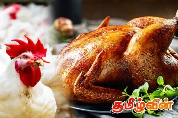 கோழி இறைச்சியின் விலை குறித்து வெளியான தகவல்