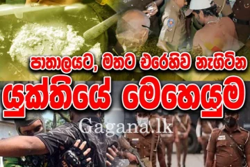 මත්ද්‍රව්‍ය සහ අපරාධ මර්ධන විශේෂ මෙහෙයුම. (VIDEO)