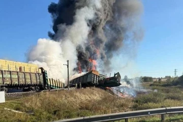 பெலாரஸ் எல்லை அருகில் ரஷ்யாவில் அசம்பாவிதம்: தீப்பிடித்து எரிந்த ரயில்