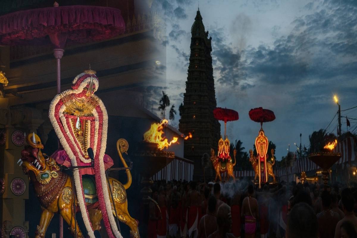 மகர வாகனத்தில் அருட்காட்சி அளித்த நல்லூர் கந்தன் ; நாளை மஞ்சத் திருவிழா | Nallur Kandan Performed Auspicious Makara Vahana