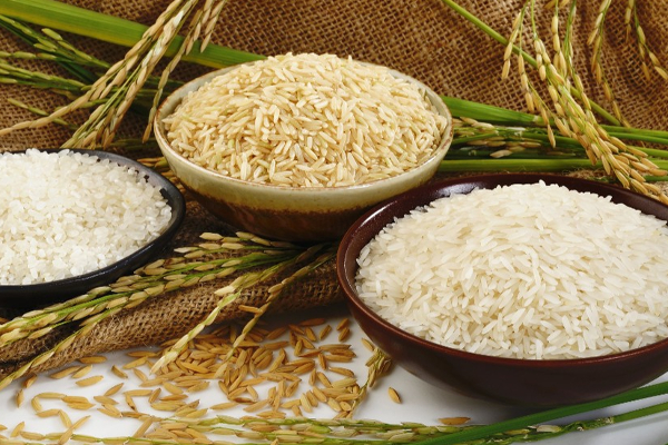 அடுத்த மாதம் இரு மடங்காக அரிசி விலை எகிறும்! | The Price Of Rice Will Double Next Month