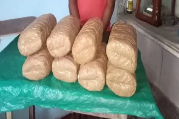 யாழில் கஞ்சாவுடன் இளைஞன் கைது! (Photos)