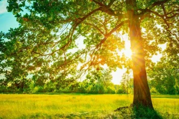 காலநிலையில் ஏற்படவுள்ள மாற்றம்! வெளியான அறிவிப்பு