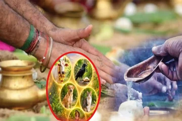 மகாளய பட்ச ரகசியம் - முன்னோர்களின் ஆசீர்வாதம் கிடைத்தால் வீட்டில் தோன்றும் 5 அறிகுறிகள்!
