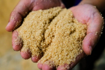 தரமற்ற சிவப்பு சீனி விற்பனை; பெரும் தொகை அபராதம்