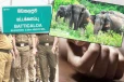 மட்டக்களப்பில் காட்டு யானை தாக்கி விவசாயி ஒருவர் பலி