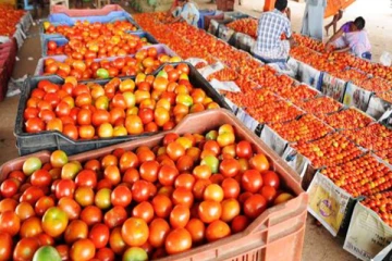 தக்காளி ஒரு கிலோ ரூ.200 க்கு விற்பனை - அதிர்ச்சியில் பொதுமக்கள்..!