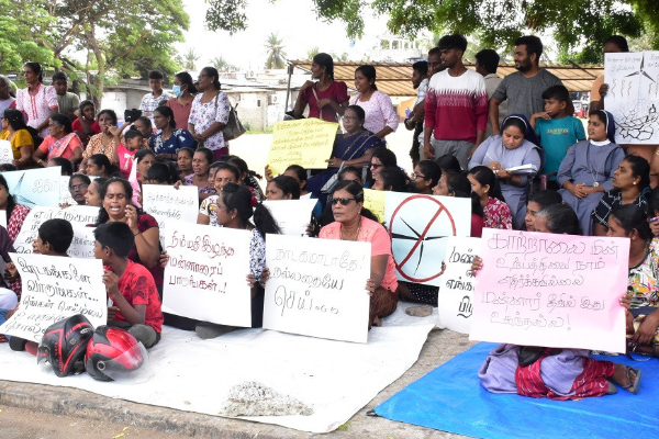 மன்னார் காற்றாலை விவகாரம்: ஜனாதிபதிக்கு விடுக்கப்பட்டுள்ள அவசர எச்சரிக்கை | Continuous Protest In Mannar Over Wind Turbines