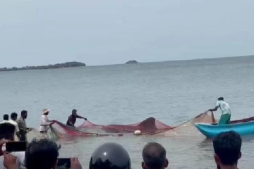 கிண்ணியாவில் மீனவர்களிடம் சிக்கிய 5000 கிலோ சுறாமீன் ஒன்று!