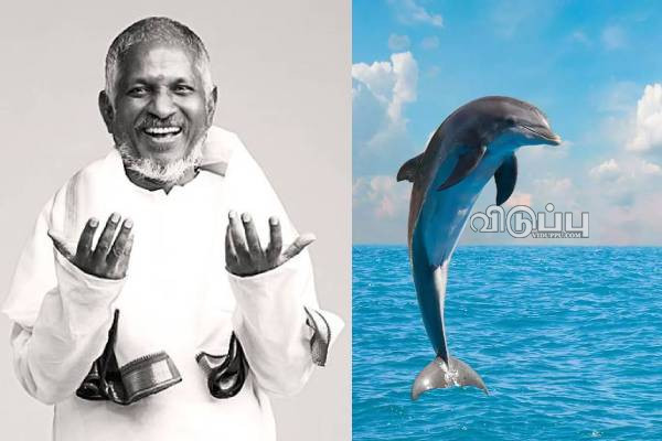 இளையராஜா இசைக்கு Dolphin நடனமாடியதா?.. நடிகையை வறுத்தெடுக்கும் நெட்டிசன்கள் | Actress Talk About Ilayaraaja Music Goes Viral