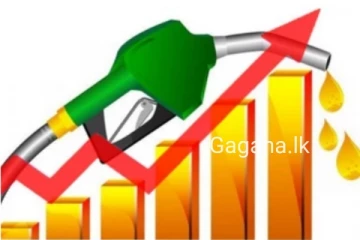 තෙල් මිල එකවරම ඉහළ යයි..වෙළඳ පොළේ සිදු වූ වෙනස මෙන්න..