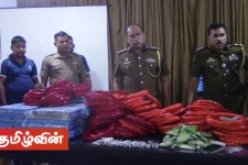 மட்டக்களப்பில் வீடு ஒன்றில் மறைத்து வைக்கப்பட்டிருந்த பெருமளவான வெடி பொருட்கள் மீட்பு