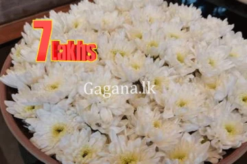 ලක්ෂ 7කට වෙන්දේසි වූ මල් වට්ටිය. - මේ ලංකාවේ පන්සලක්.