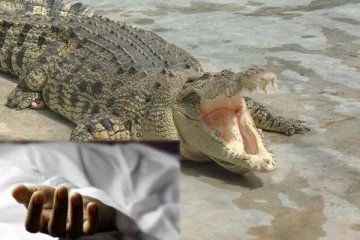 திருகோணமலையில் முதலை தாக்கியதில் குடும்பஸ்தர் பலி