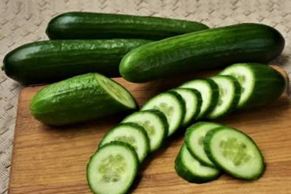வெள்ளரி ஏற்றுமதியால் 10.3 மில்லியன் டொலர் வருமானம் | Cucumber Export Increase
