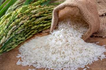 நெல் அறுவடை குறைந்தால் இழப்பீடு - கமத்தொழில் அமைச்சர்