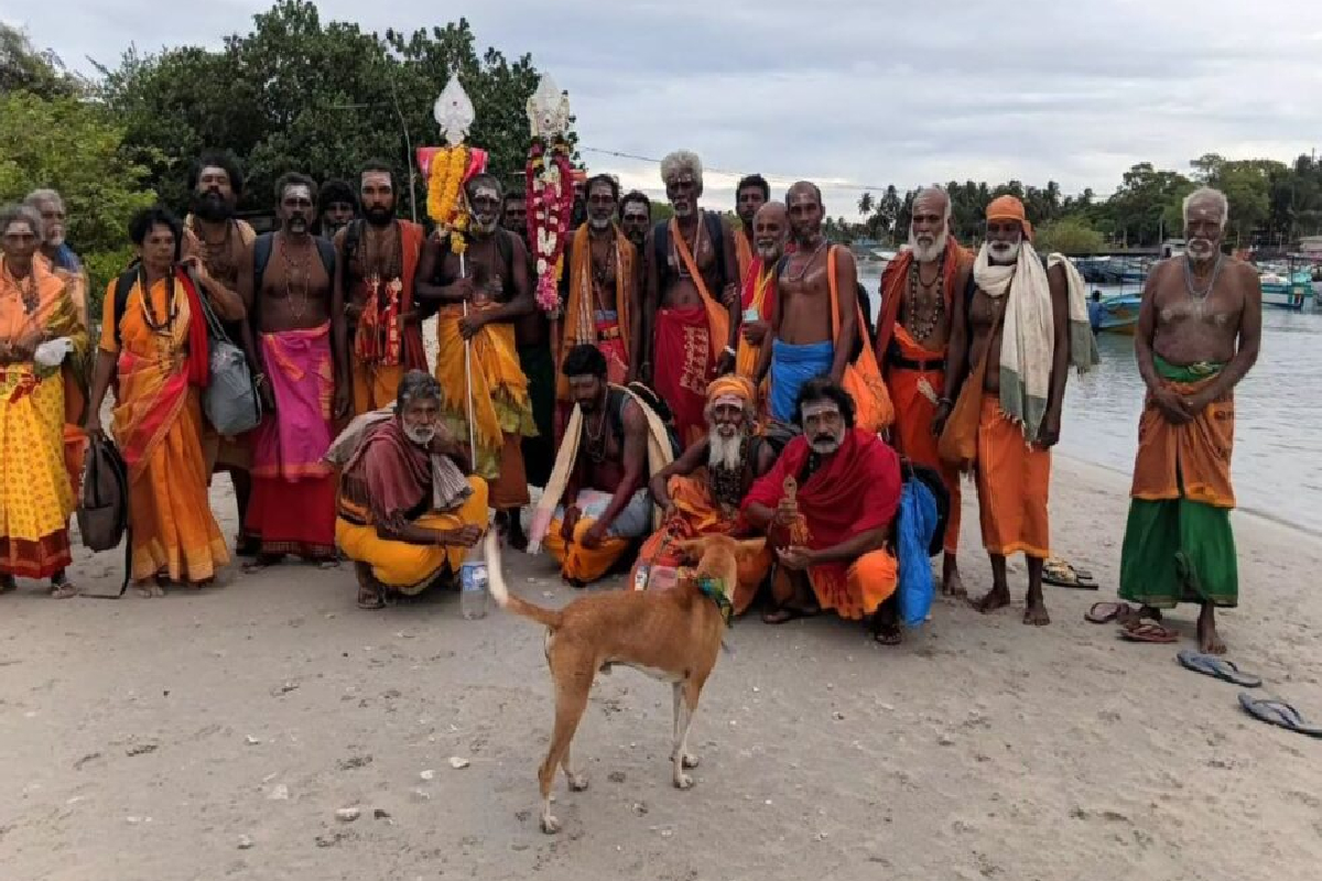 சுப்பிரமணிக்கு கண்டதையும் உண்ண கொடுக்க வேண்டாம்! | Subramaniam Dog Kataragama Pada Yatra சுப்பிரமணிக்கு கண்டதையும் உண்ண கொடுக்க வேண்டாம்! | Subramaniam Dog Kataragama Pada Yatra