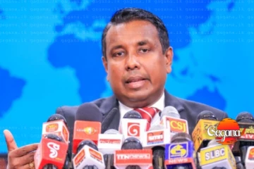 වීඩියෝ දාලා වගකීම ගන්නවා කිව්ව නිර්මාල්ට හිටපු මන්ත්‍රී දොළවත්ත හොඳවයින් අමතයි - වහාම අධිකරණයට යන්න