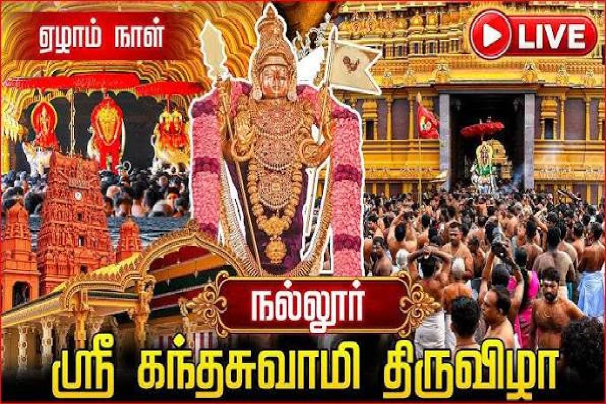 வெகு விமர்சையாக நடைபெறும் நல்லூர் கந்தசுவாமி ஆலய 7ஆம் நாள் திருவிழா - நேரலை | Nallur Temple Annual Festival 2026 Live வெகு விமர்சையாக நடைபெறும் நல்லூர் கந்தசுவாமி ஆலய 7ஆம் நாள் திருவிழா - நேரலை | Nallur Temple Annual Festival 2026 Live