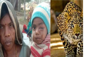 தன் உயிரையும் பொருட்படுத்தாமல் சிறுத்தையிடம் போராடி குழந்தையை மீட்ட தாய் - குவியும் வாழ்த்துக்கள்