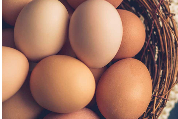 முட்டைகளுக்கு தட்டுப்பாடு! | There Was A Significant Shortage Of Eggs