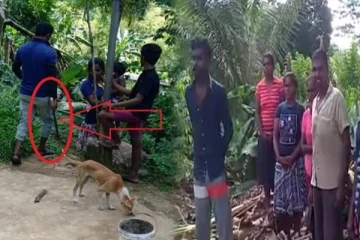 தென் பகுதியில் தமிழர்களுக்கு ஏற்பட்டுள்ள அவல நிலை