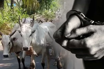 கால்நடை மருத்துவர் மற்றும் நால்வர் கைது