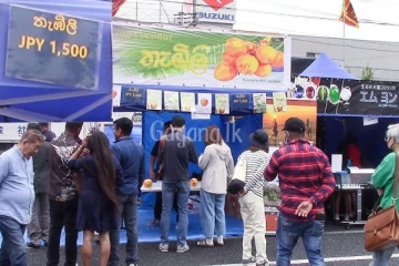 ශ්‍රී ලංකා තැඹිලි වලට ජපානයේ ඉහල ඉල්ලුමක්..