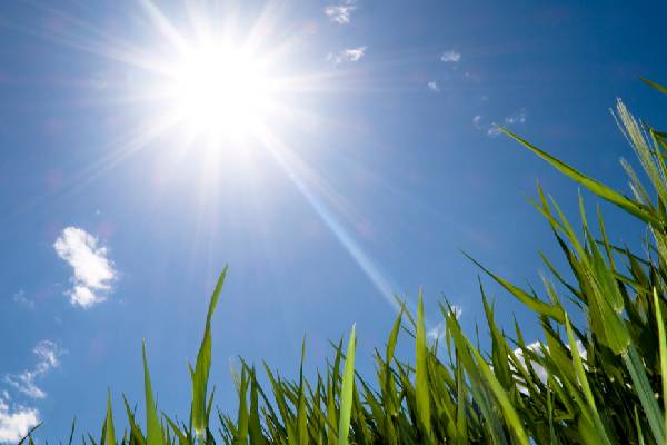 இன்றைய வானிலை: பிற்பகல் இடியுடன் கூடிய மழை | Today Weather Report