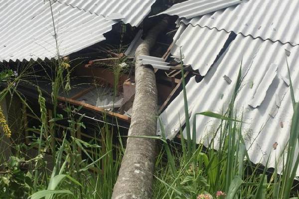 இன்று காலை பாடசாலை சென்ற 10 மாணவர்களுக்கு நேர்ந்த சோகம் | Tragedy Befell 10 Students School Morning